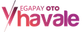 Vegapay Money Transfer